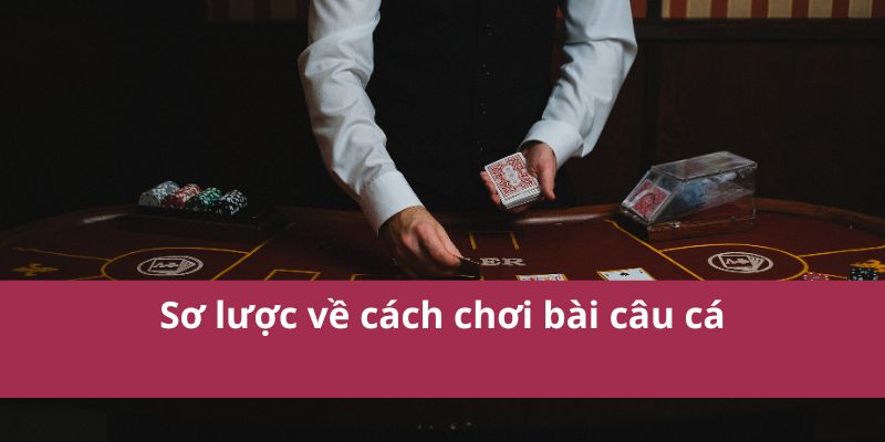 Cách Chơi Bài Câu Cá Dễ Hiểu Và Kỹ Thuật Chiến Thắng 2 cách chơi bài câu cá