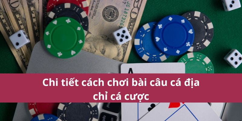 Cách Chơi Bài Câu Cá Dễ Hiểu Và Kỹ Thuật Chiến Thắng 3 cách chơi bài câu cá