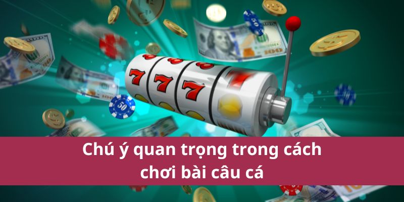 Cách Chơi Bài Câu Cá Dễ Hiểu Và Kỹ Thuật Chiến Thắng 4 cách chơi bài câu cá