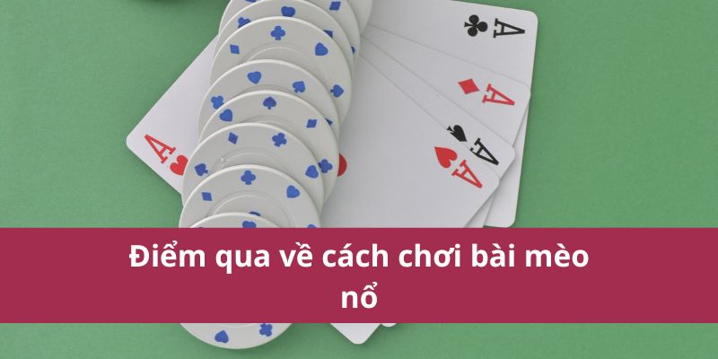 Cách Chơi Bài Mèo Nổ Đơn Giản Và Dễ Thắng Cho Người Mới 2 cách chơi bài mèo nổ