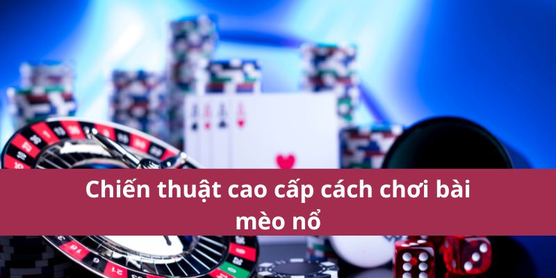 Cách Chơi Bài Mèo Nổ Đơn Giản Và Dễ Thắng Cho Người Mới 3 cách chơi bài mèo nổ