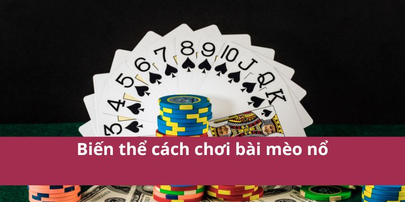 Cách Chơi Bài Mèo Nổ Đơn Giản Và Dễ Thắng Cho Người Mới 4 cách chơi bài mèo nổ