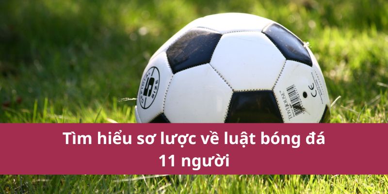 Tìm Hiểu Luật Bóng Đá 11 Người Chi Tiết Và Cơ Bản Nhất 2 Tìm hiểu sơ lược về luật bóng đá 11 người