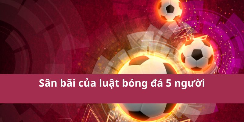 Khám Phá Luật Bóng Đá 5 Người Chuẩn FIFA Chi Tiết Nhất 3 Sân bãi của luật bóng đá 5 người