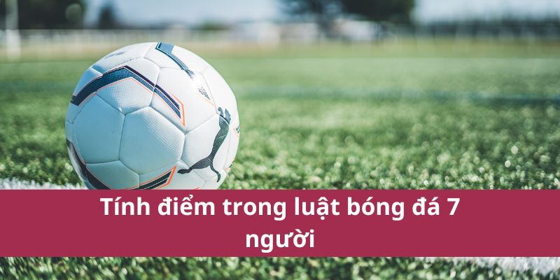 Tìm Hiểu Luật Bóng Đá 7 Người Chi Tiết Và Cơ Bản Nhất 4 Tính điểm trong luật bóng đá 7 người